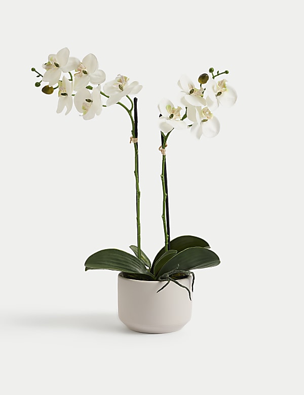 Τεχνητή ορχιδέα μεσαίου μεγέθους με φυσική υφή σε κεραμική γλάστρα - GR