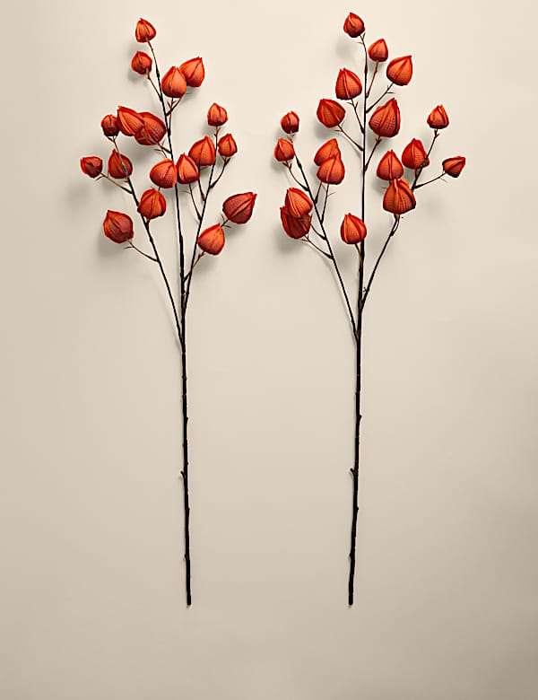 2pk Artificial Chinese Lantern Single Stems - IS