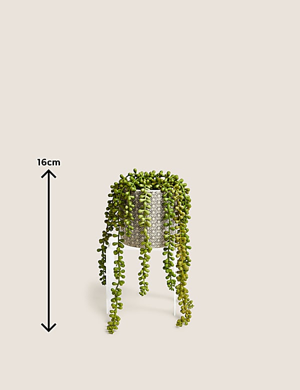 Artificial String of Pearls in Ceramic Pot