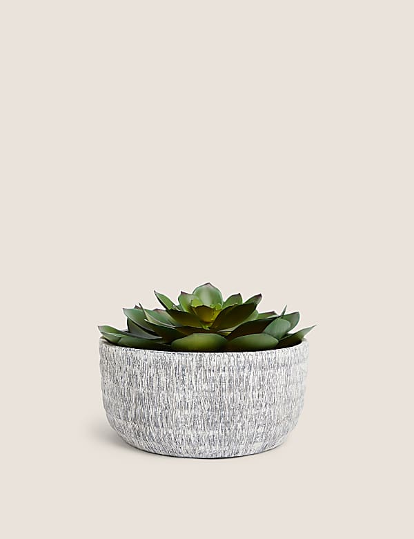 Artificial Echeveria in Concrete Pot