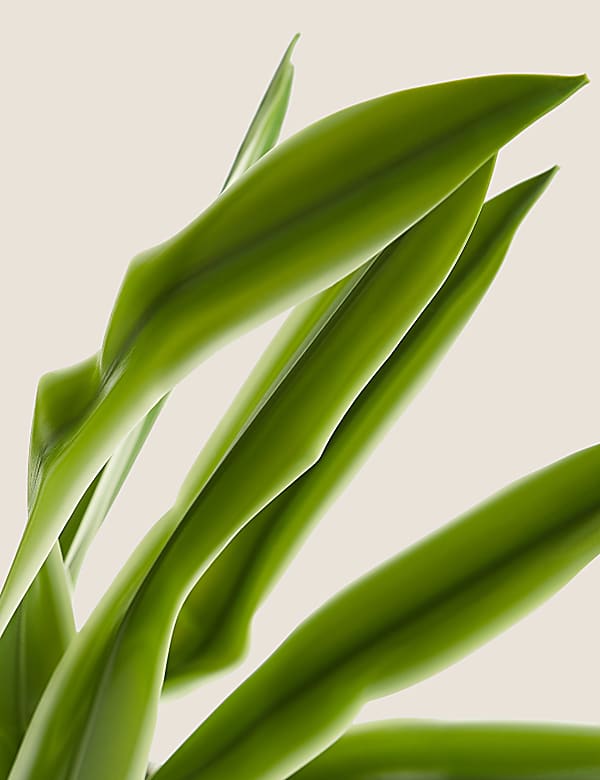 Artificial Natural Lily in Textured Pot