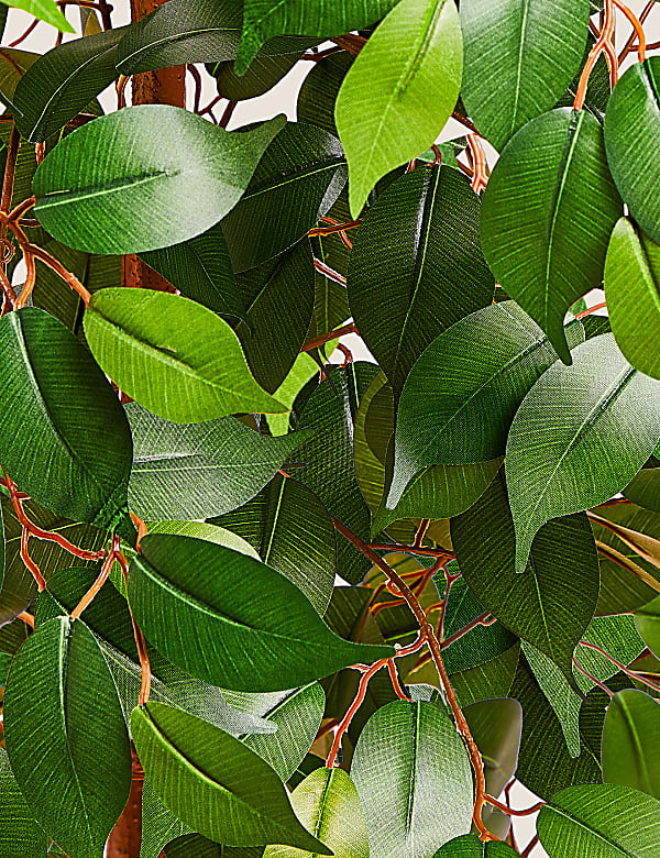 Artificial Floor Standing Ficus Tree