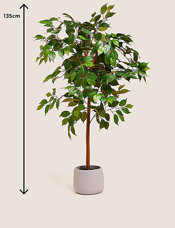 Artificial Floor Standing Ficus Tree