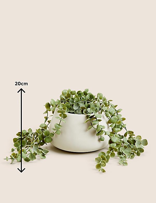 Artificial Trailing String of Hearts Plant
