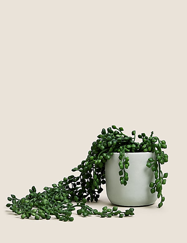 Artificial Mini Trailing Plant in Pot