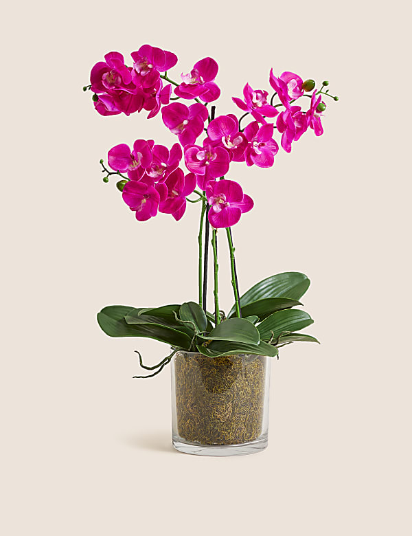 Artificial Real Touch Large Orchid in Glass Pot - GR