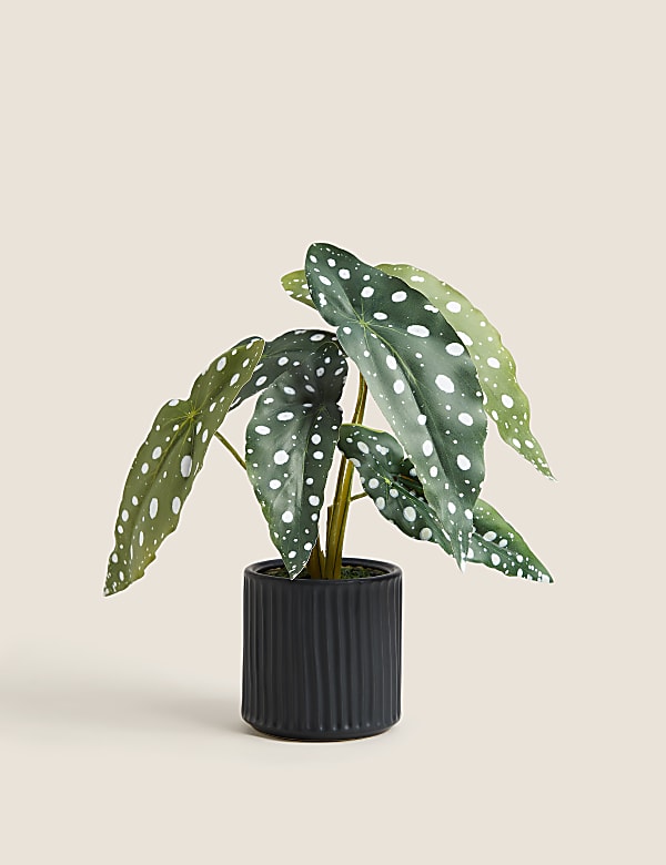 Artificial Begonia Plant