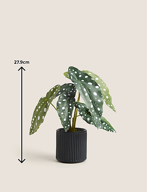 Artificial Begonia Plant