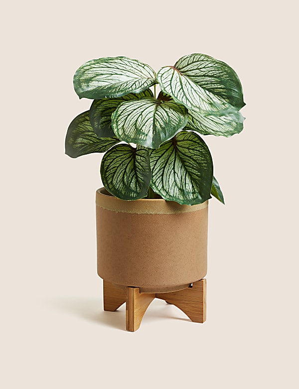 Medium Ceramic Planter