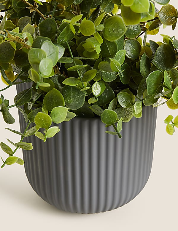 Large Ceramic Planter