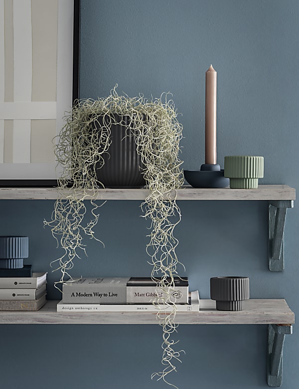 Large Ceramic Planter