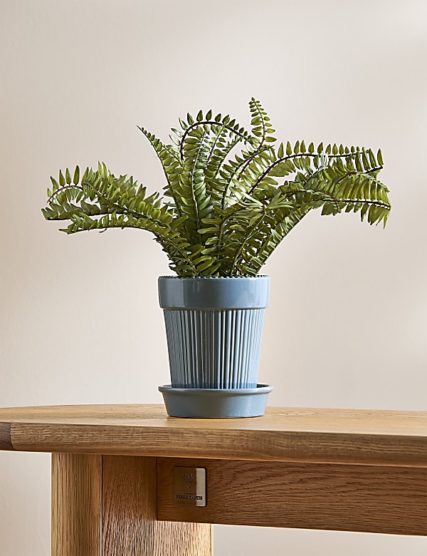 Small Ridged Ceramic Planter with Tray - JP