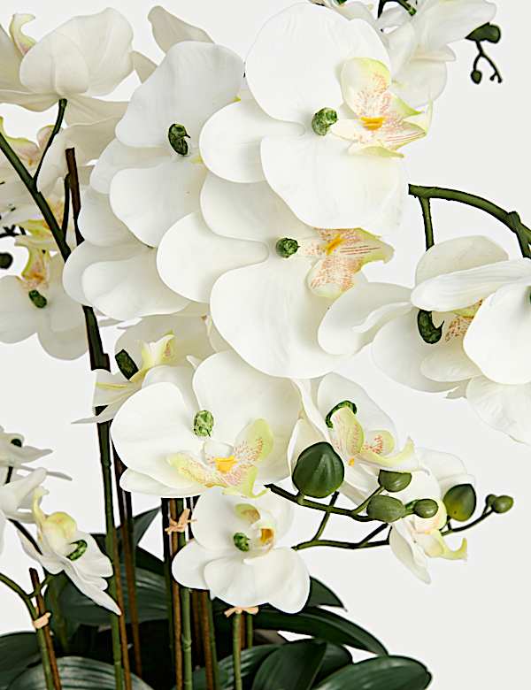 Artificial Extra Large Orchid in Ceramic Pot - PL