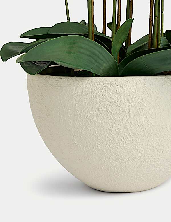 Artificial Extra Large Orchid in Ceramic Pot - PL