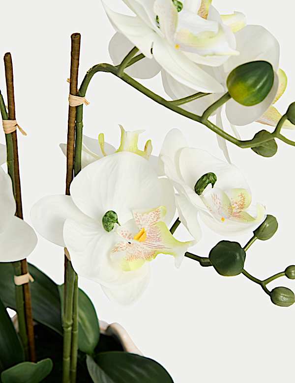 Artificial Orchid Arrangement in Ceramic Pot - AT