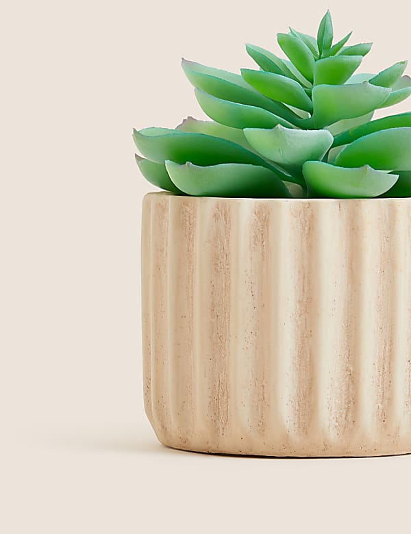 Μίνι τεχνητό παχύφυτο εχεβερία σε γλάστρα - GR