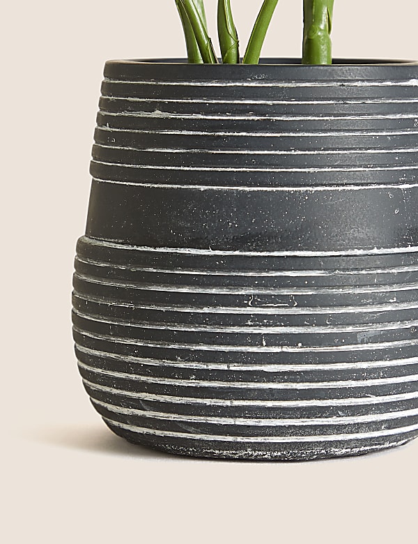 Artificial Calathea Plant in Concrete Pot - IS