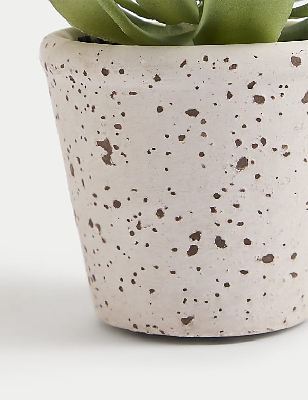 Artificial Succulent in Ceramic Pot