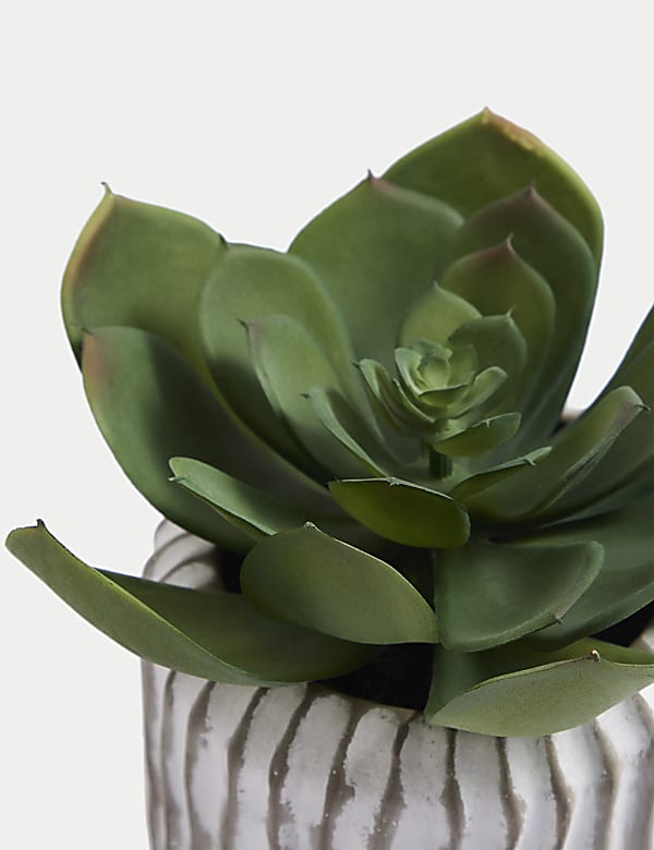 Artificial Succulent in Concrete Pot