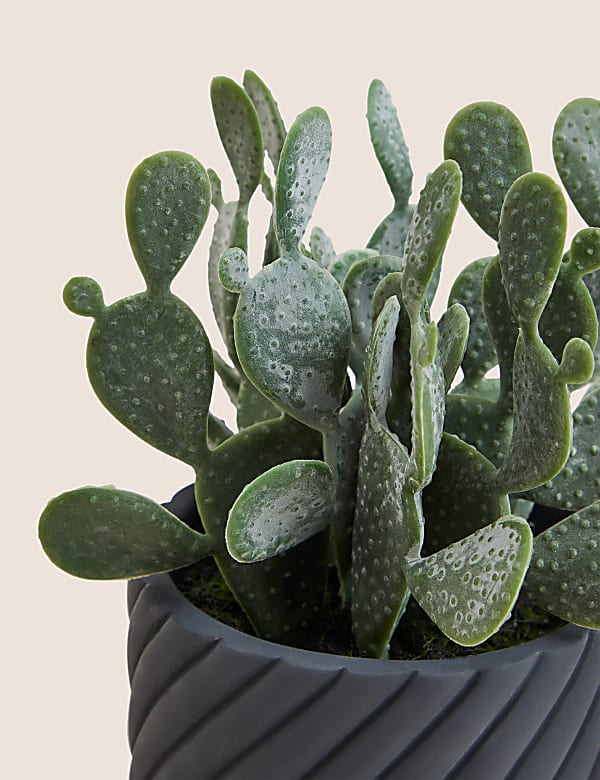 Artificial Cactus Garden in Cement Pot