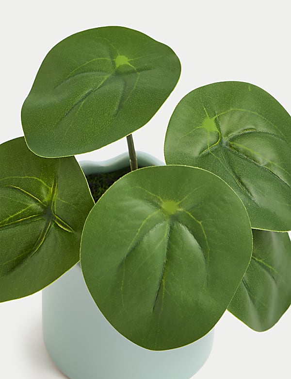 Γλάστρα με μίνι τεχνητό πιλέα πεπερομιοδές - GR