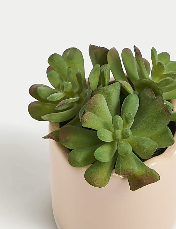 Artificial Mini Succulent Plant in Pot - RS