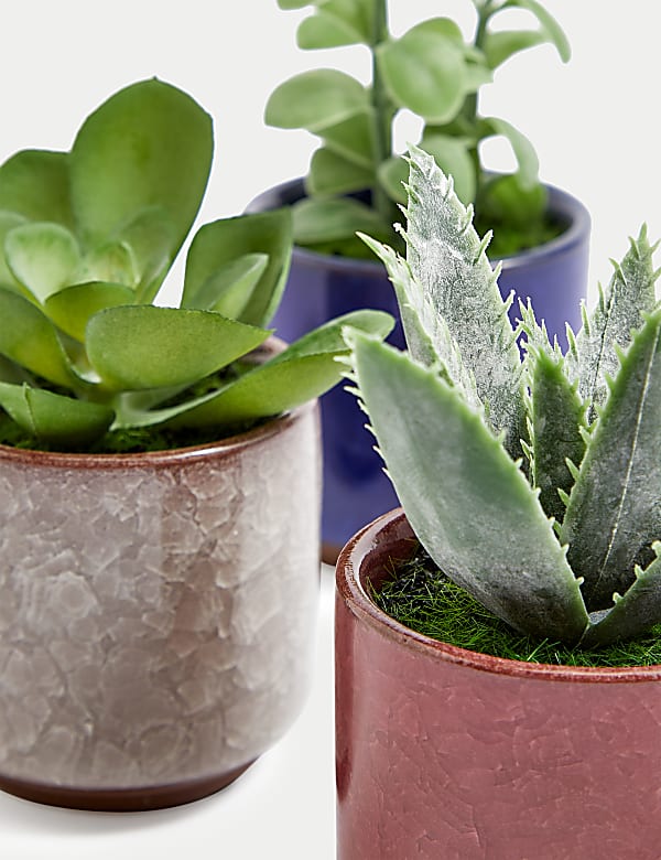 Μικρά τεχνητά παχύφυτα σε γλάστρες, σετ των 3 - GR