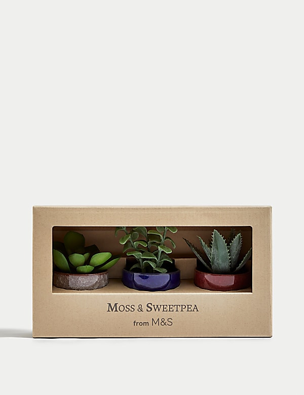 Μικρά τεχνητά παχύφυτα σε γλάστρες, σετ των 3 - GR