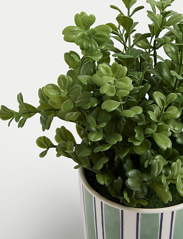 &Kappa;&epsilon;&rho;&alpha;&mu;&iota;&kappa;ή &gamma;&lambda;ά&sigma;&tau;&rho;&alpha; &mu;&epsilon; &tau;&epsilon;&chi;&nu;&eta;&tau;ό &phi;&upsilon;&tau;ό &pi;&upsilon;&xi;ά&rho;&iota; - GR