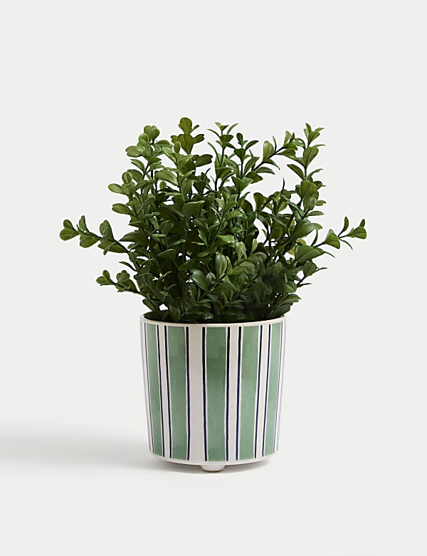 Artificial Boxwood Plant in Ceramic Pot - GR