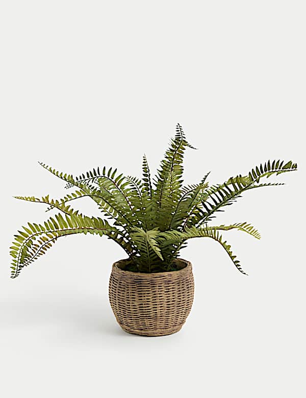 Artificial Fern Plant In Wicker Pot - VN