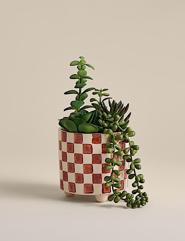 Artificial Succulent Family in Checked Pot - CH