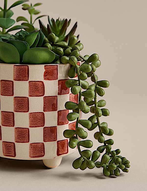 Artificial Succulent Family in Checked Pot - CH