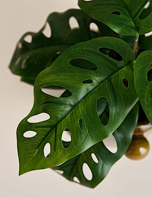 Artificial Cheese Plant in Bobble Pot - AL