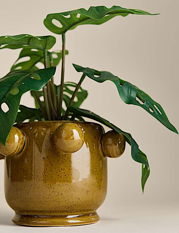 Artificial Cheese Plant in Bobble Pot - AL