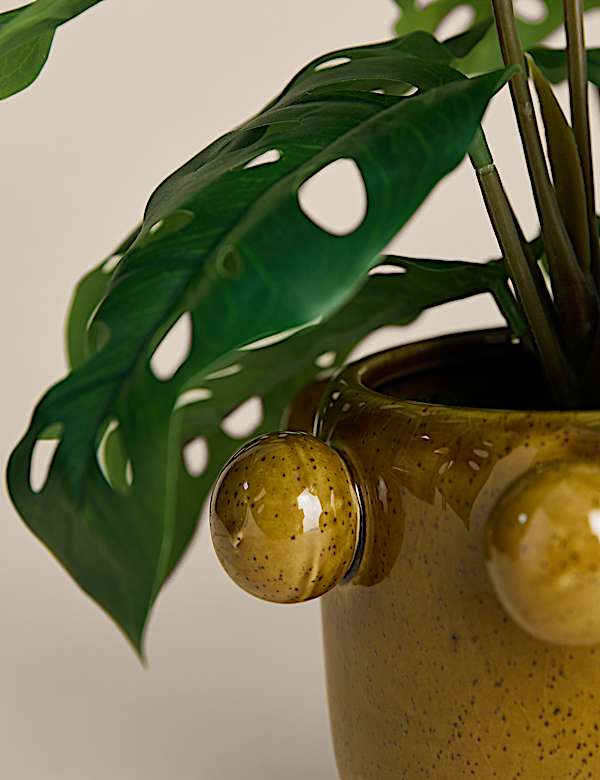Artificial Cheese Plant in Bobble Pot - AL