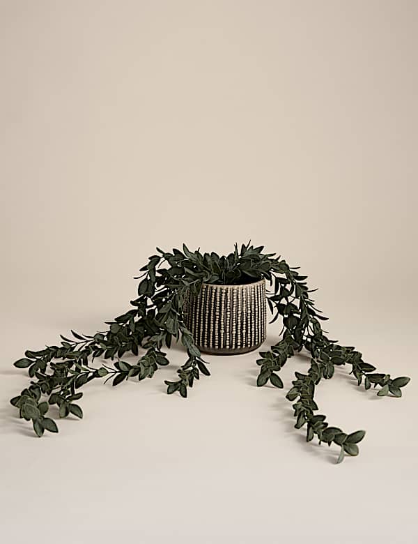 Artificial Trailing Boxwood in Ceramic Pot - DK