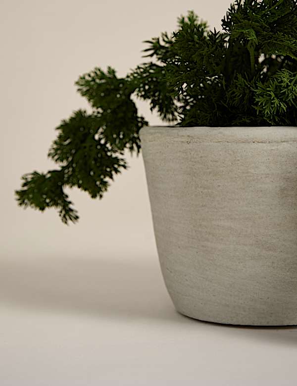 Mousse grimpante artificielle en pot en béton - FR