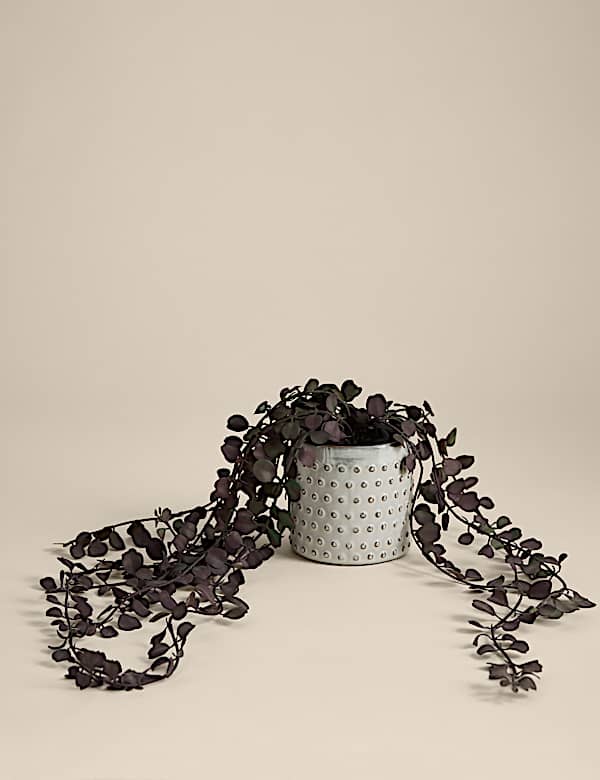Artificial String of Hearts in Ceramic Pot - DK