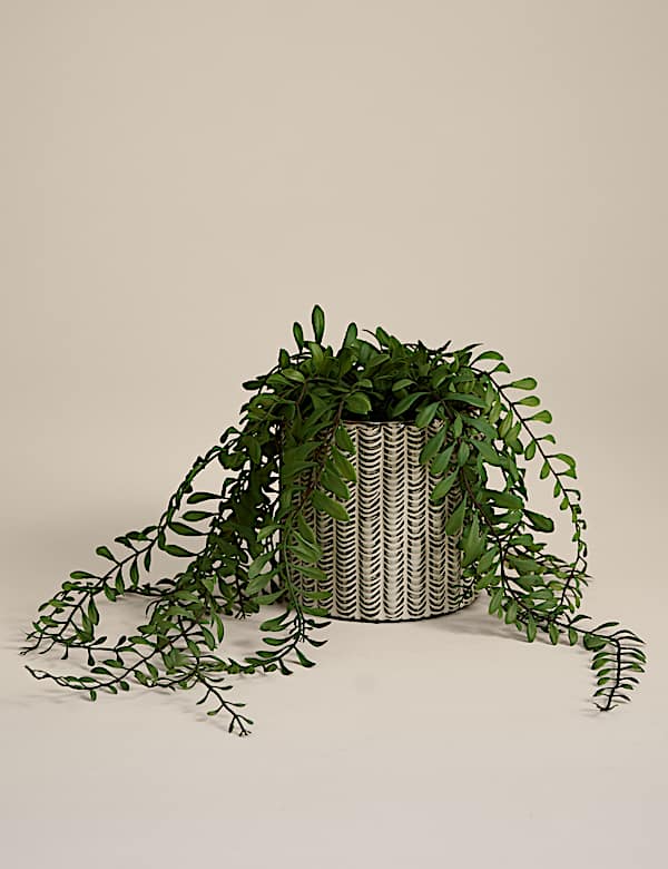 Artificial Trailing Fern in Ceramic Pot - PT