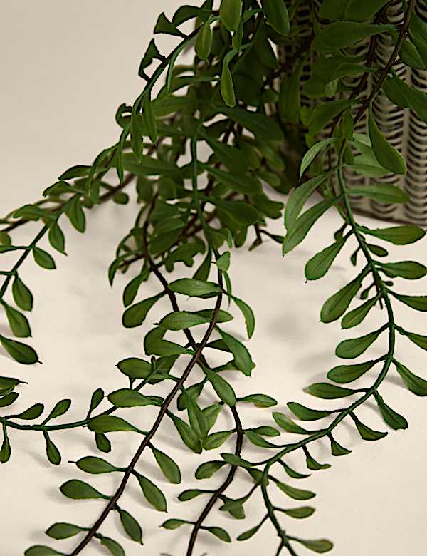 Artificial Trailing Fern in Ceramic Pot - AL