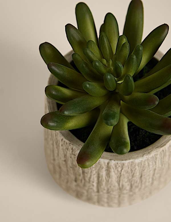 Artificial Mini Succulent in Textured Cement Pot - CZ