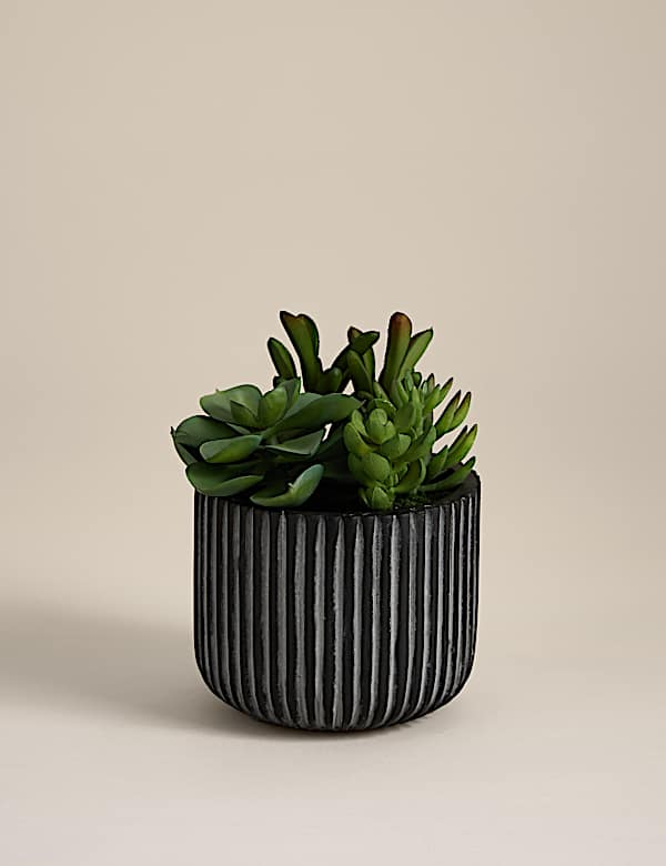 Artificial Succulents in Ridged Cement Pot - PL