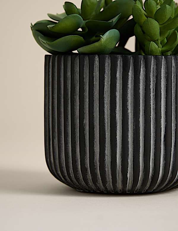 סוקולנטים מלאכותיים בעציץ בטון מחורץ - IL