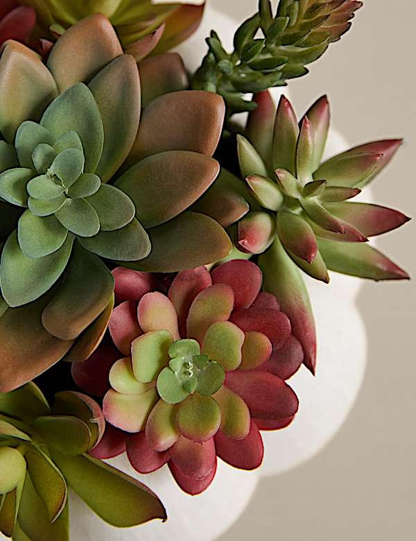 Umělé sukulenty v betonovém květináči - CZ