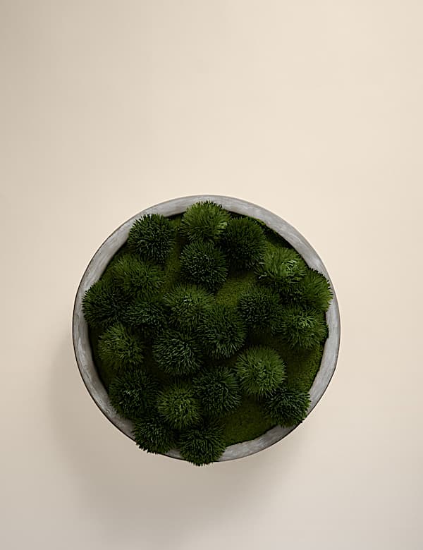 Kunstmoos in großer Betonschüssel - DE