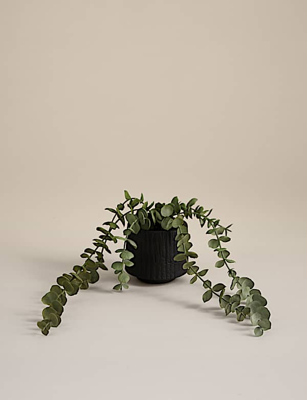 Artificial Trailing Baby Plant in Textured Ceramic Pot - AL