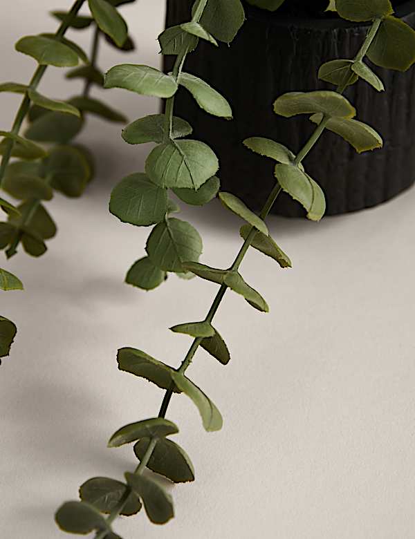 Artificial Trailing Baby Plant in Textured Ceramic Pot - AL