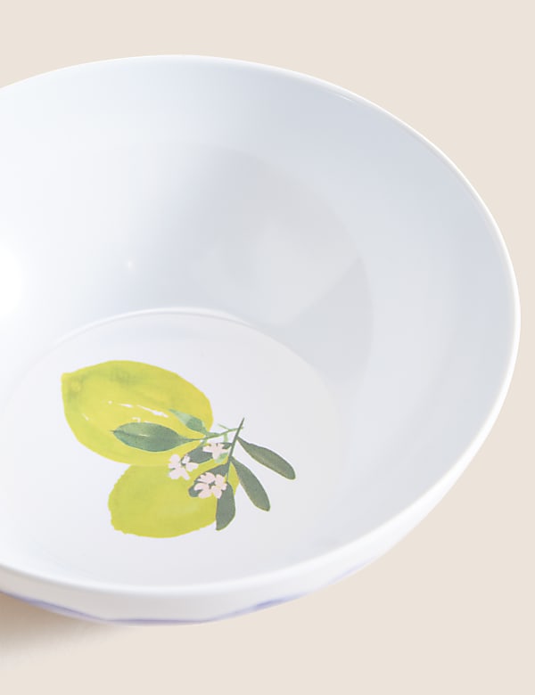 Set Of 4 Summer Fruits Picnic Cereal Bowls