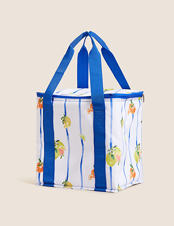 Summer Fruits Collapsible Picnic Cool Bag Picnicware M S GR
